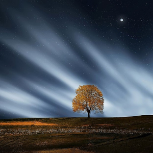 男警察和军人Gay互吃鳮吧
