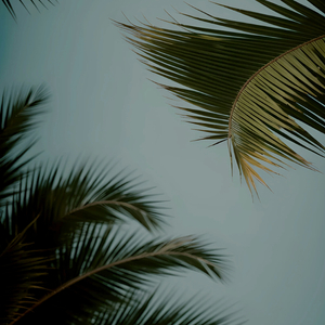 男警察和军人Gay互吃鳮吧
